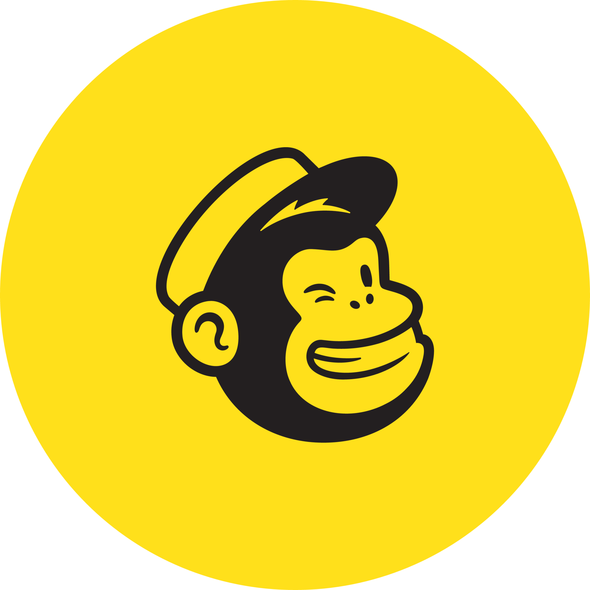 Review van MailChimp